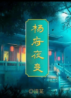 百变大侦探杨府夜变凶手是谁?