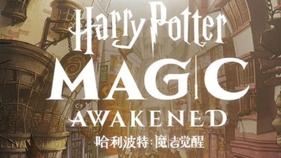 哈利波特魔法觉醒怎么换衣服？