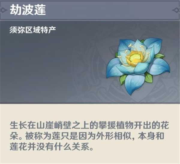 原神3.1劫波莲收集路线如何快速收集 劫波莲快速收集路线分享