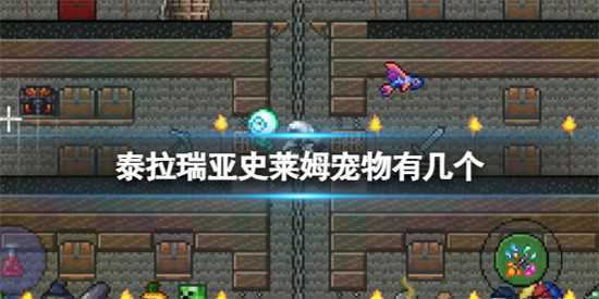 泰拉瑞亚史莱姆宠物有哪些 史莱姆宠物大全