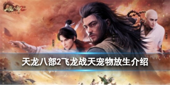 天龙八部2飞龙战天宠物怎么放生 宠物放生方法