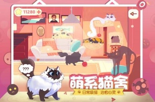 左瞄右喵